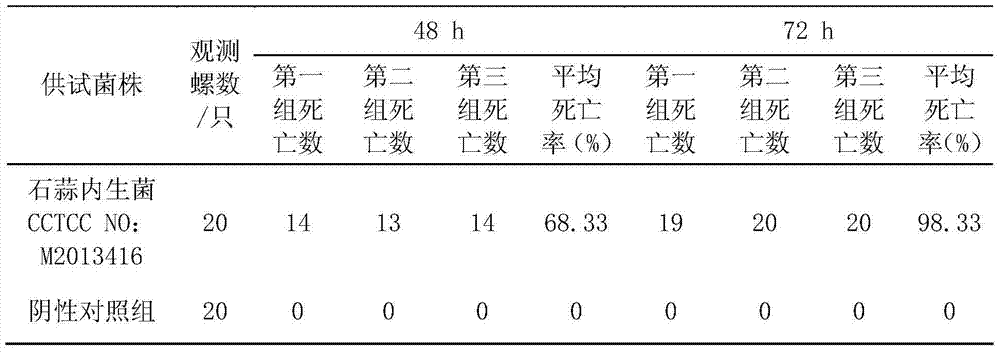 Lycoris radiata endophyte with snail killing activity and application thereof