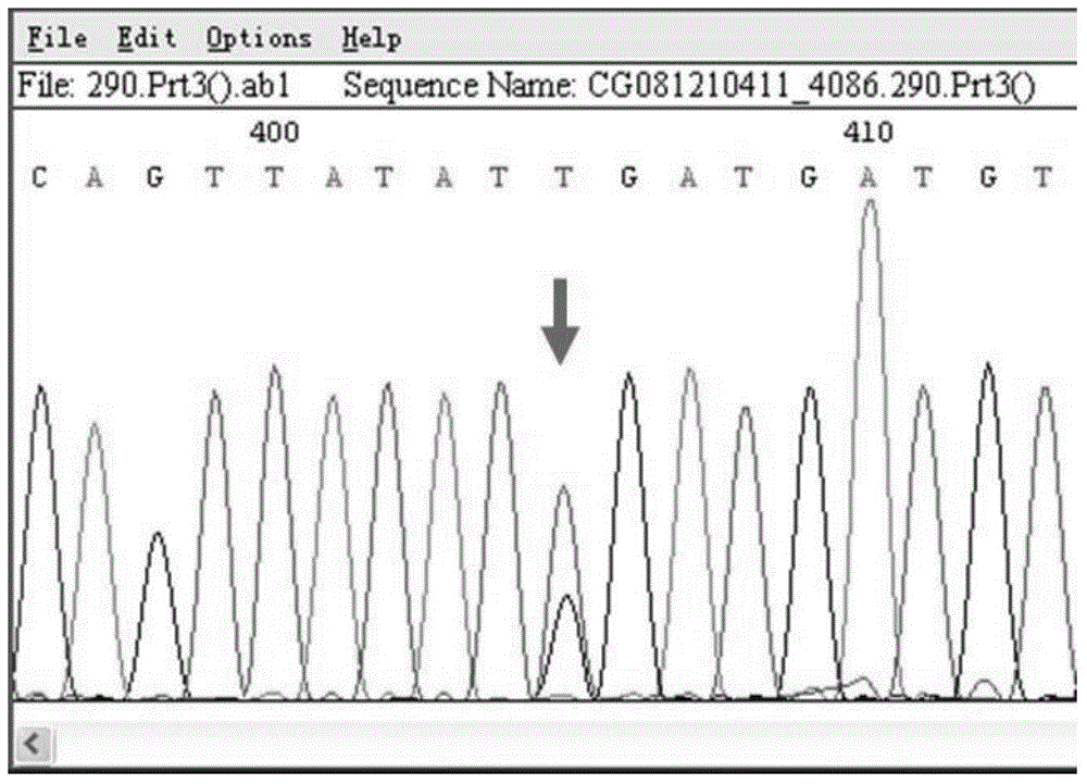 Nucleotide variation ratio quantitative analyzing method based on DNA sequencing peak diagram