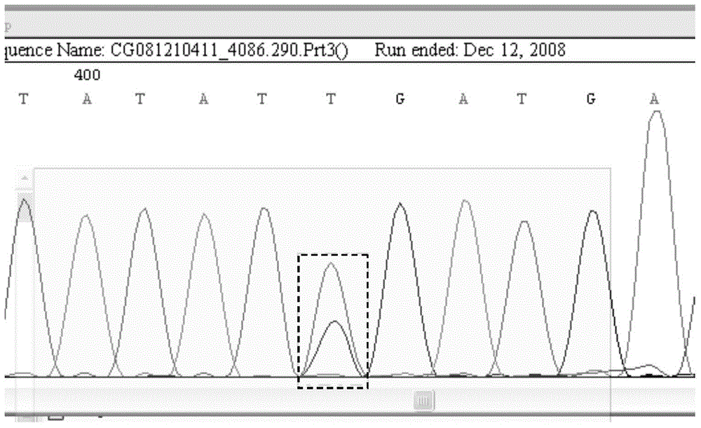 Nucleotide variation ratio quantitative analyzing method based on DNA sequencing peak diagram