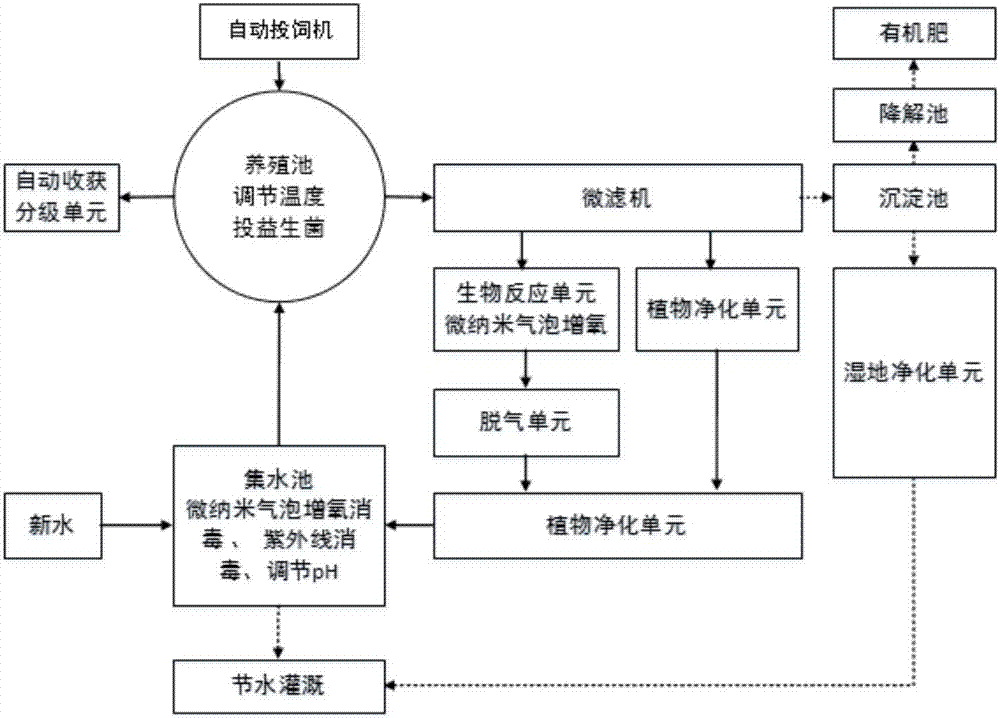 Circulation aquaculture process and system