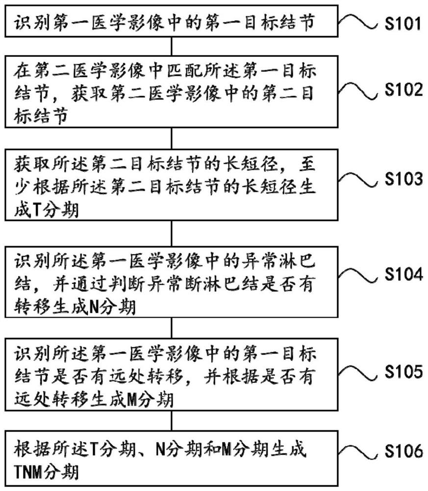 Lung cancer TNM staging acquisition method and device