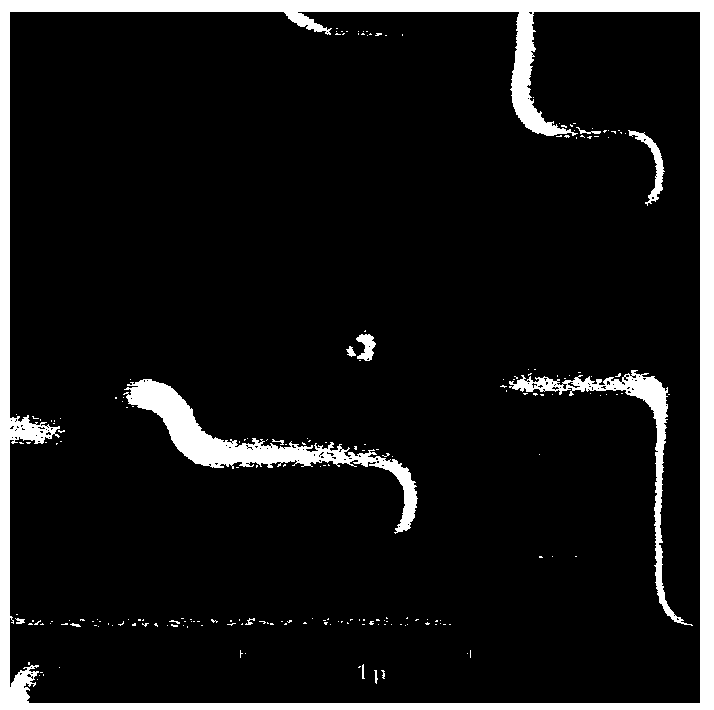 A Method for Eliminating Defects of Silicon Substrate During Shallow Trench Isolation Etching Process