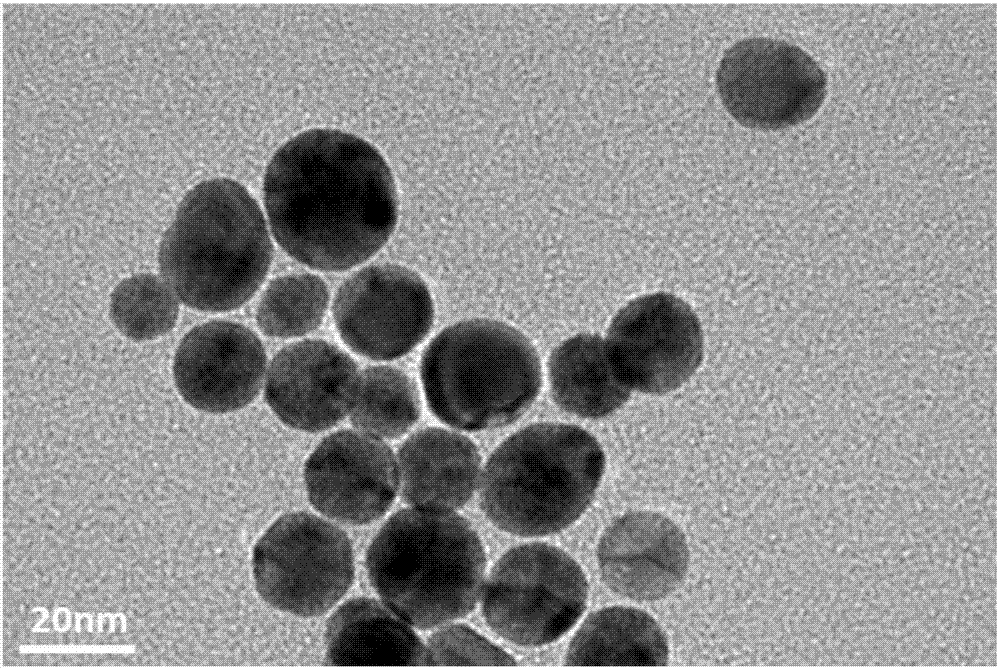 Preparation method of spherical gold nanoparticle
