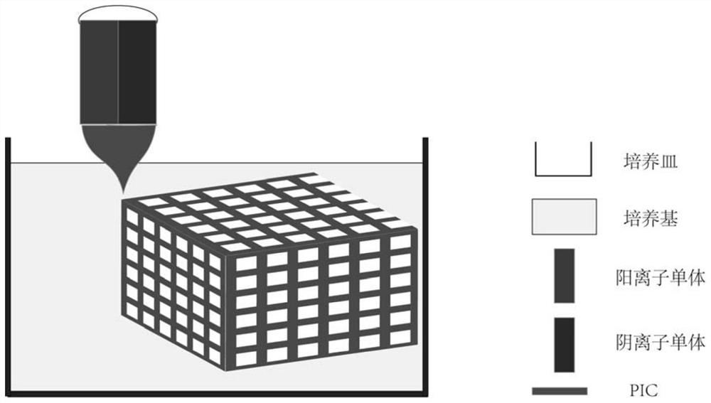 A kind of tissue engineered bone based on multilayer cell grid and its preparation method