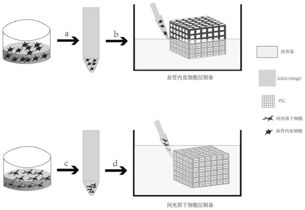 A kind of tissue engineered bone based on multilayer cell grid and its preparation method