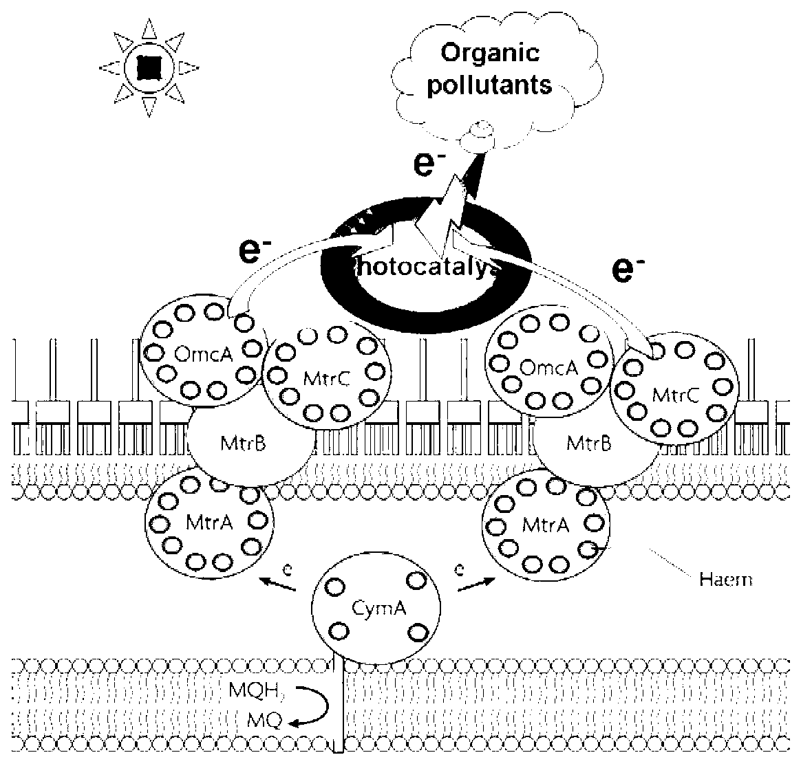 Method for degrading organic pollutant through nanometer material photo-reduction and assisted by electricigens