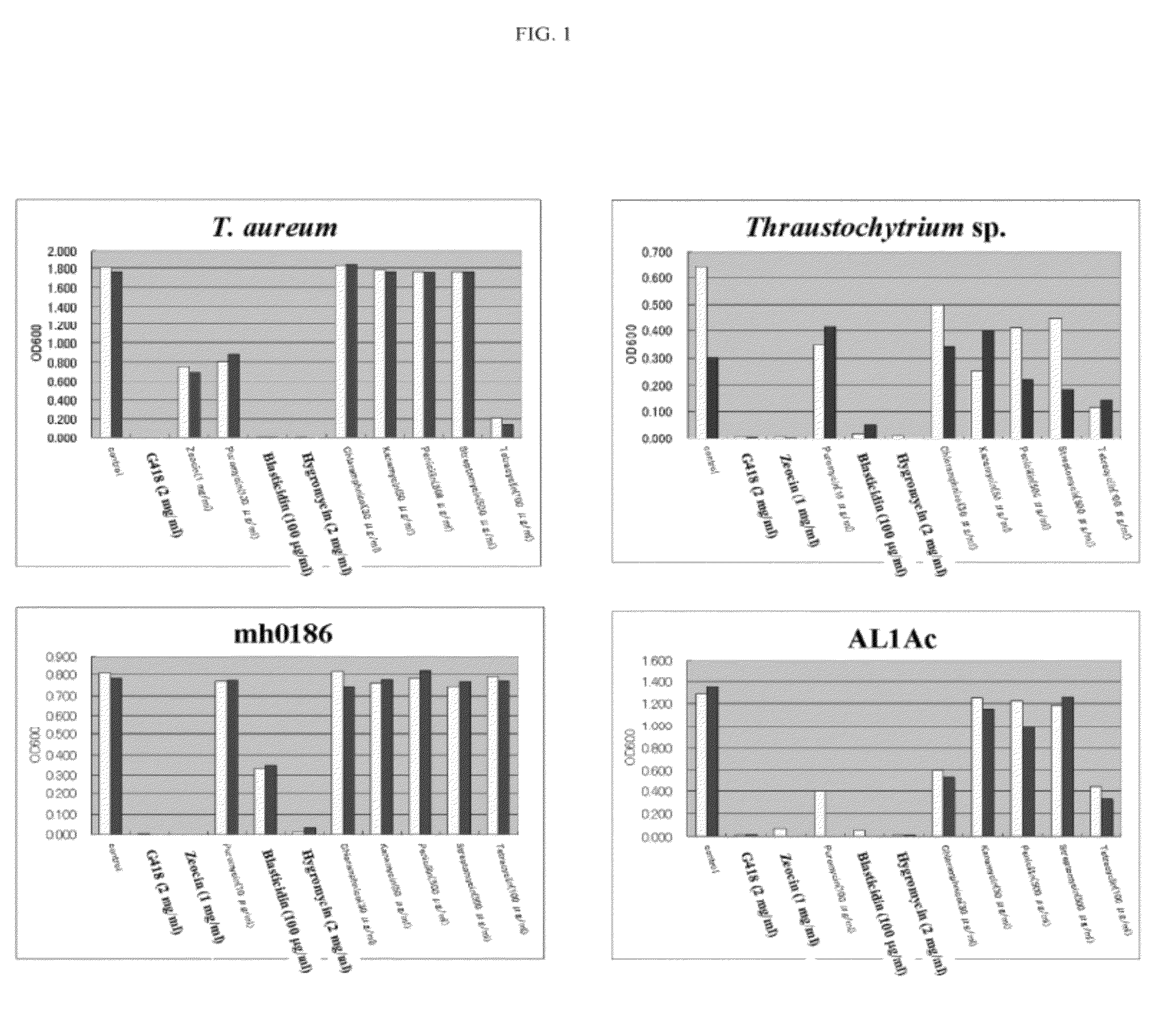 Method for transforming stramenopiles