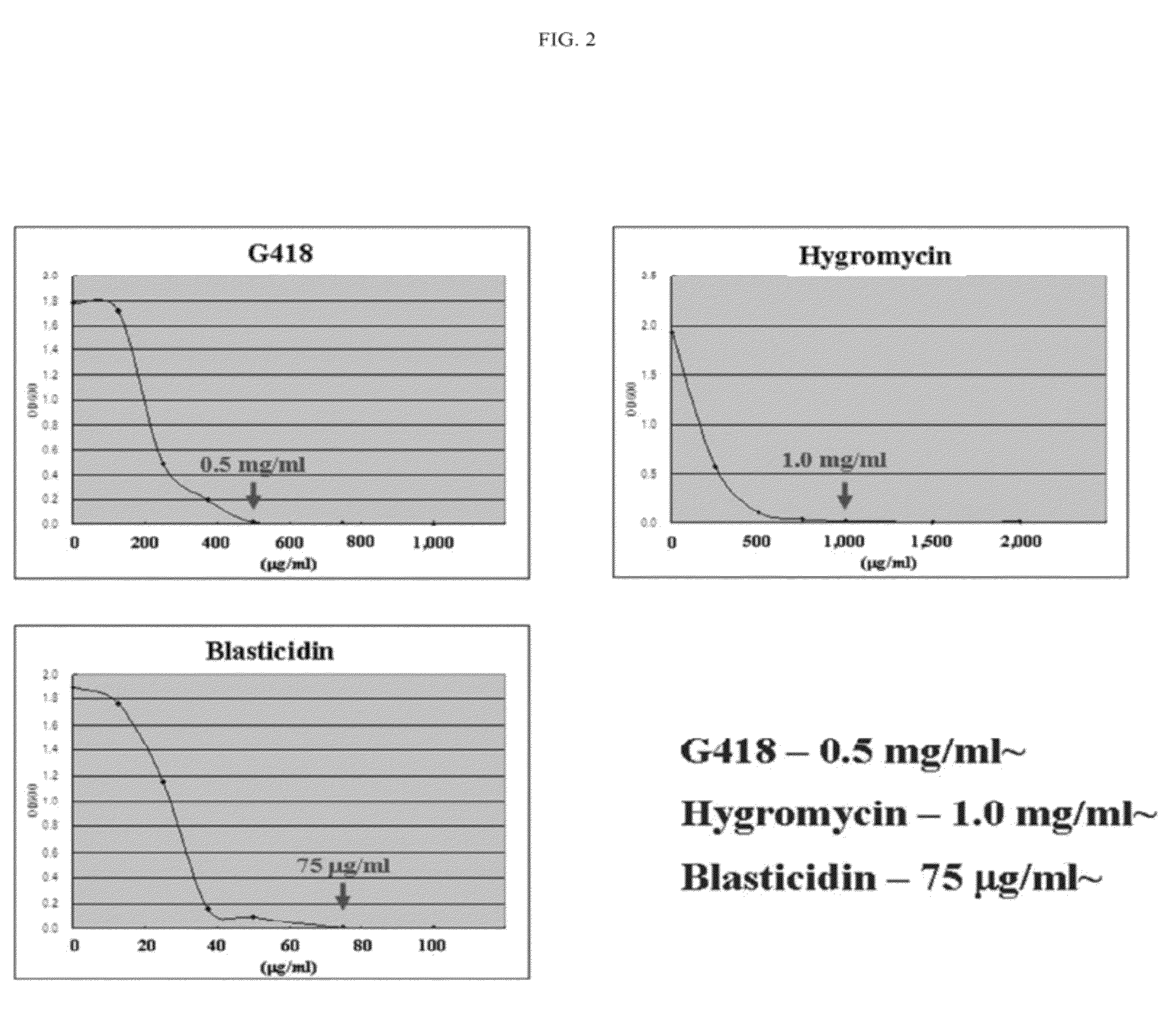 Method for transforming stramenopiles