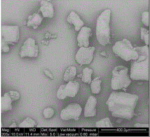 Stable propyl gallate crystal form and preparation method thereof