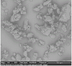 Stable propyl gallate crystal form and preparation method thereof