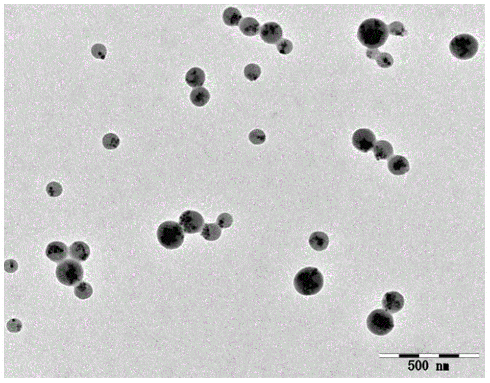 Preparation method of magnetic chitosan nanoparticles and application of magnetic chitosan microspheres