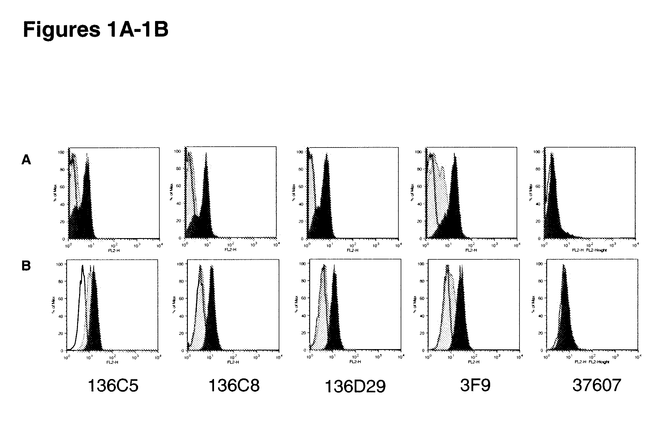 Interleukin 10 receptor, (IL-10R) antibodies