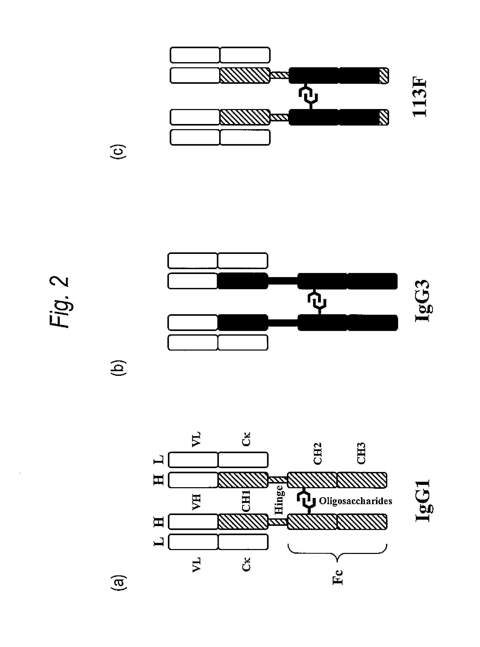 Antibody variants composition