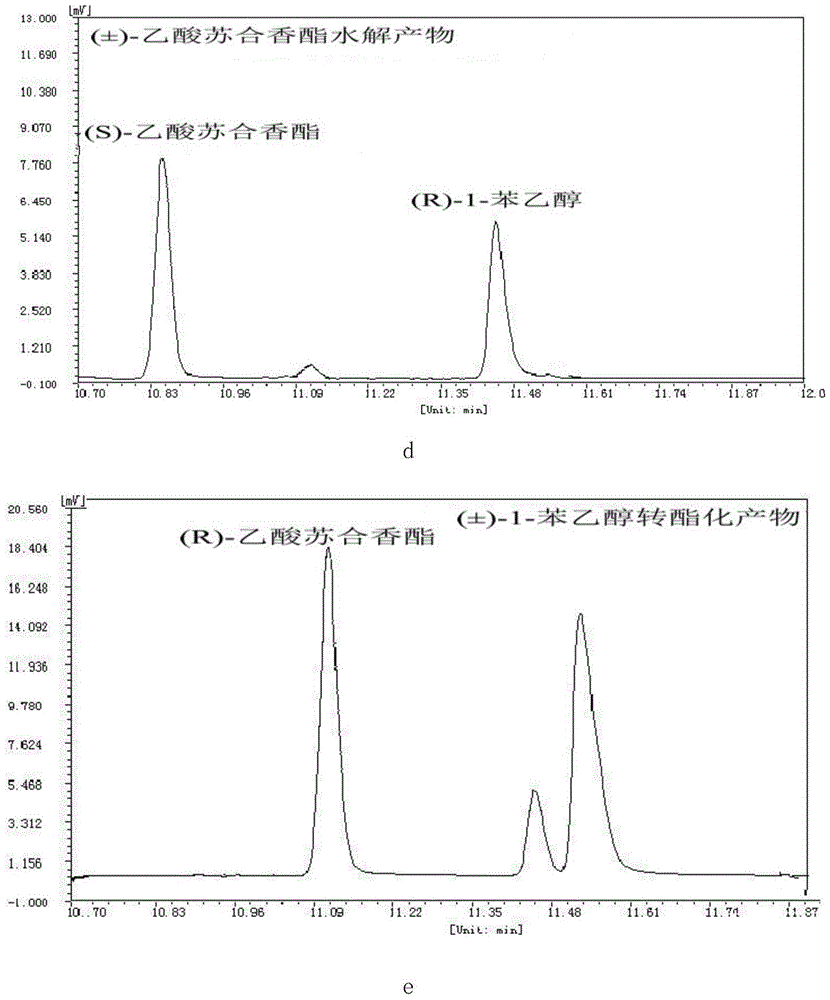 Novel esterase, encoding gene and application thereof in splitting (+/-)-1-phenethyl alcohol and (+/-)-styralyl acetate