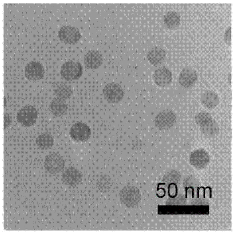 Hg2+ sensor based on upconversion NaYF4 resonance energy transfer and detection method of Hg2+ sensor