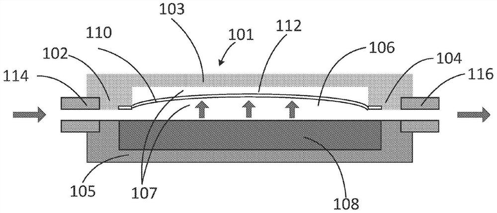 Apparatus for treating excess intraocular fluid having an elastic membrane