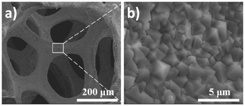 Method for preparing in-situ grapheme-coated metal oxide nanoflower structure on metal substrate