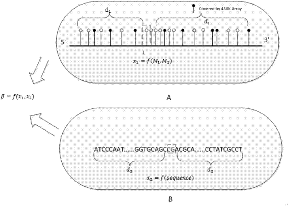 Expansion method for DNA methylation chip data