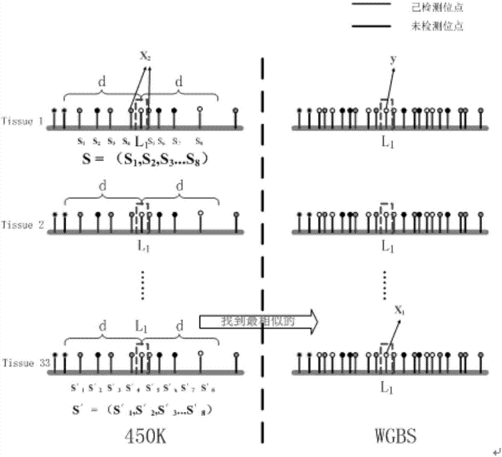 Expansion method for DNA methylation chip data