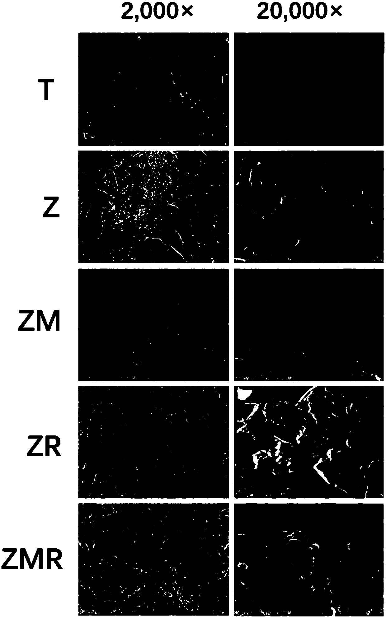 Method for preparing biological active coating layer on surface of zirconia convenient for synostosis