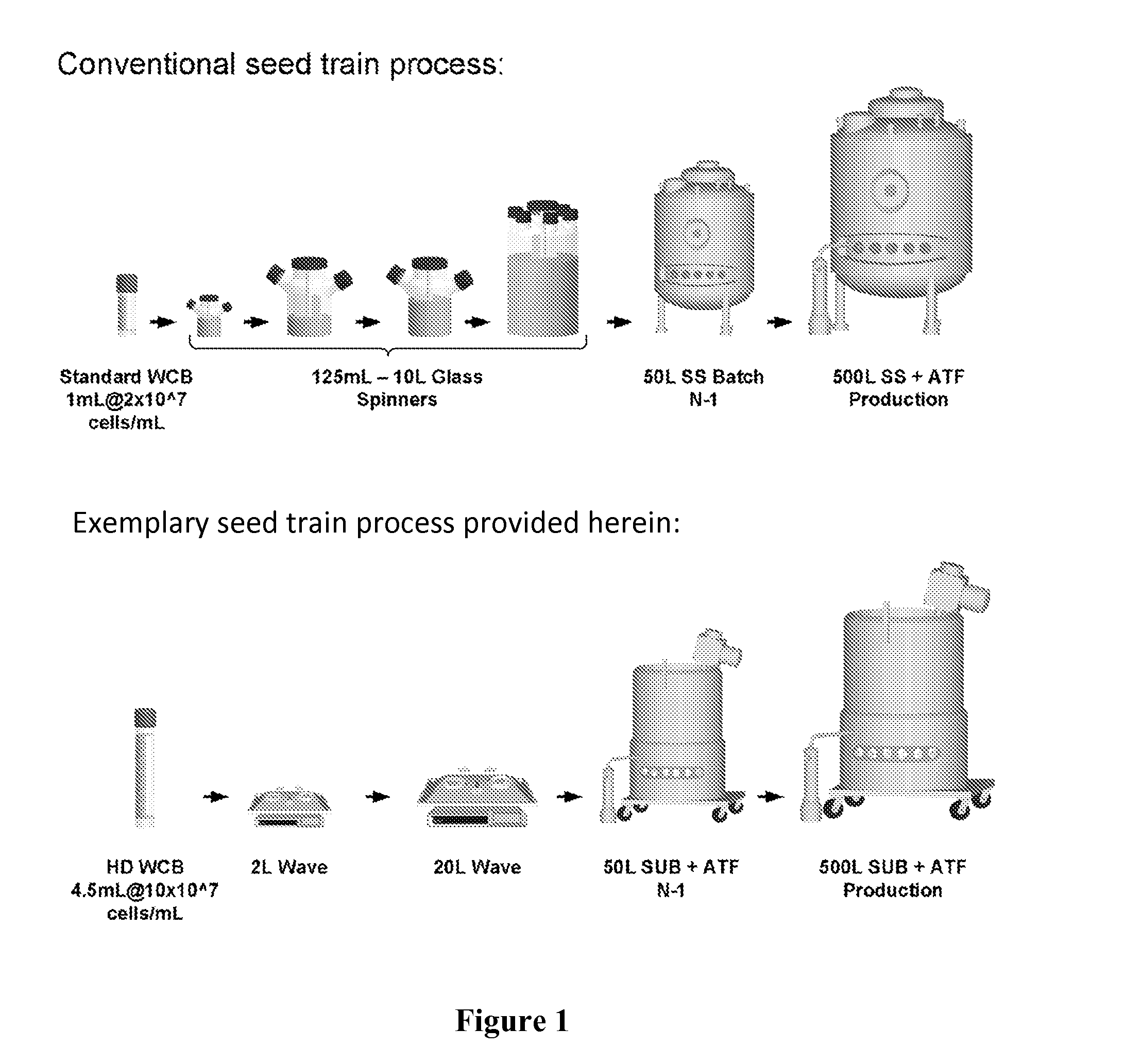 Seed Train Processes and Uses Thereof