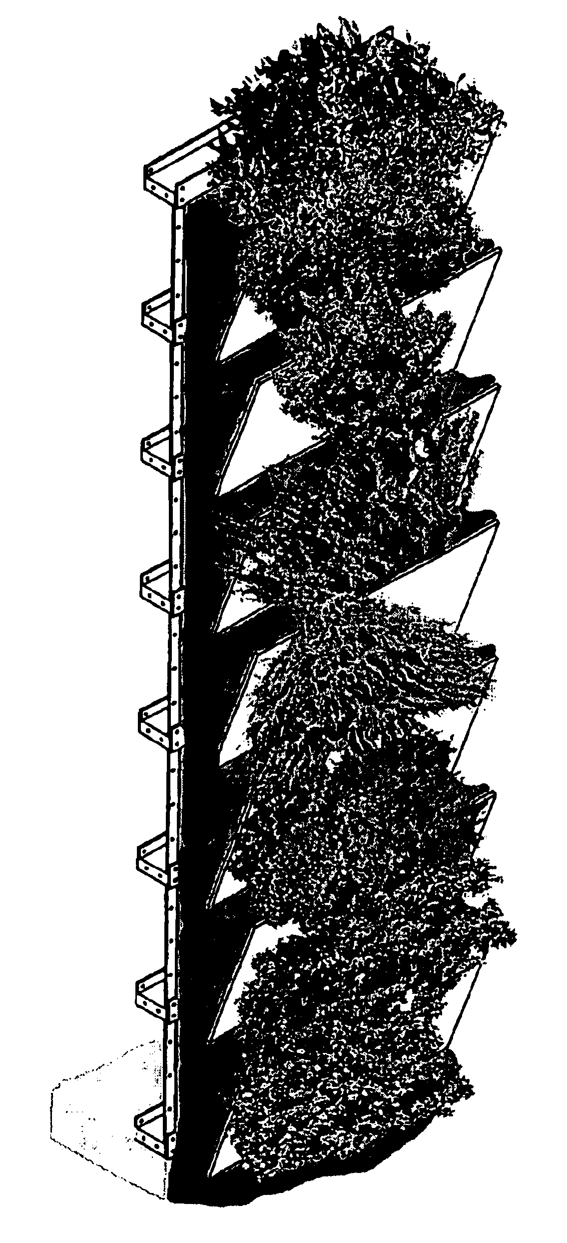 Vertical ecosystem structure