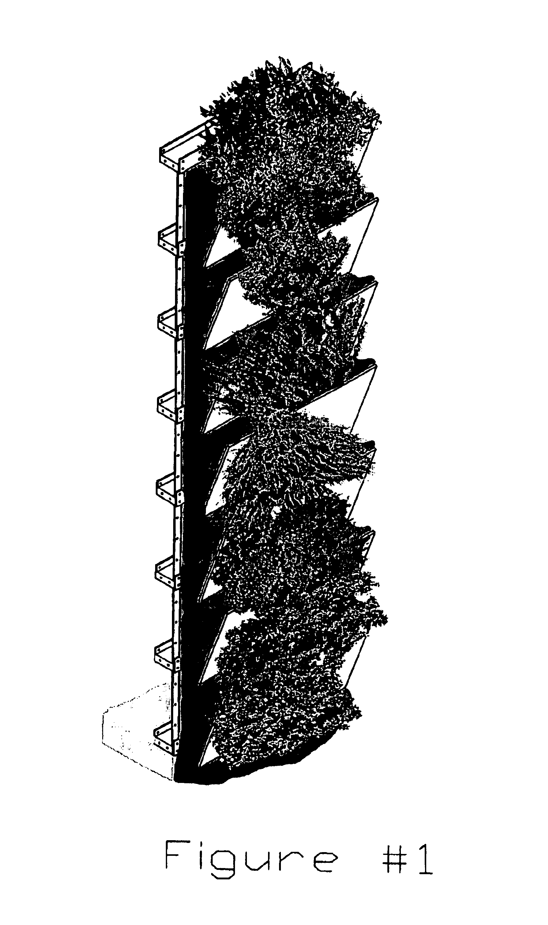 Vertical ecosystem structure