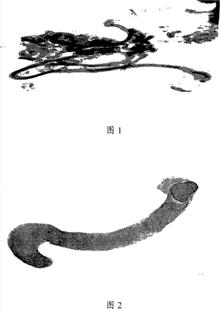 Pre-passivation method for continuous reforming device