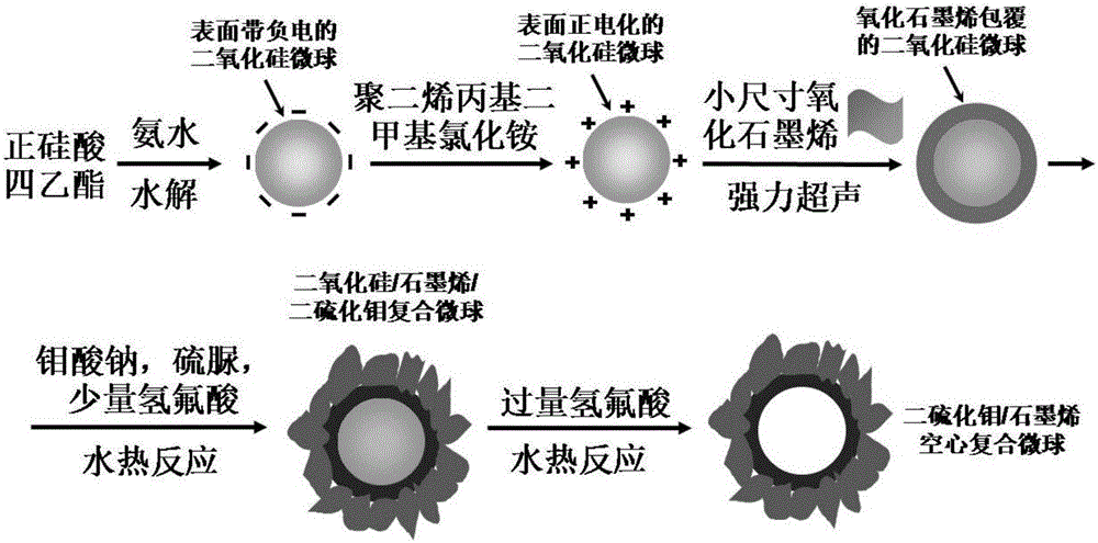 Molybdenum disulfide/graphene hollow composite microsphere and preparation method therefor