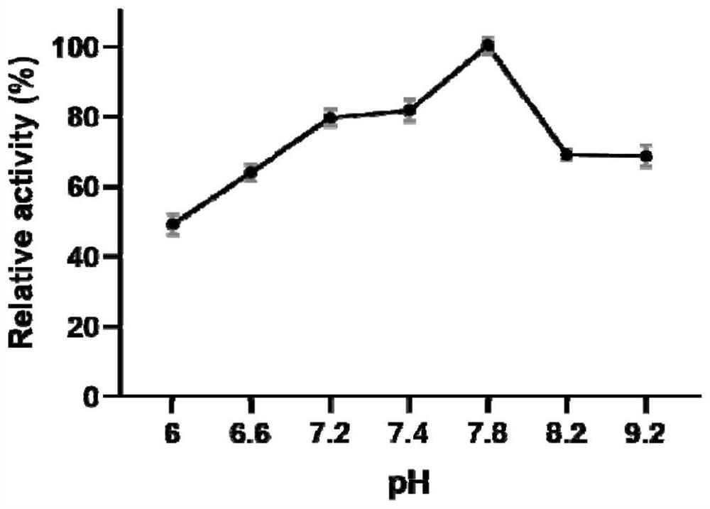 Fibrinolytic active protein, preparation method and application thereof, pharmaceutical composition and nucleic acid encoding protein