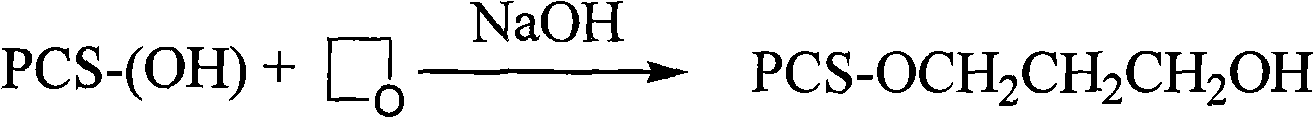 Synthesis of substituted pachyman