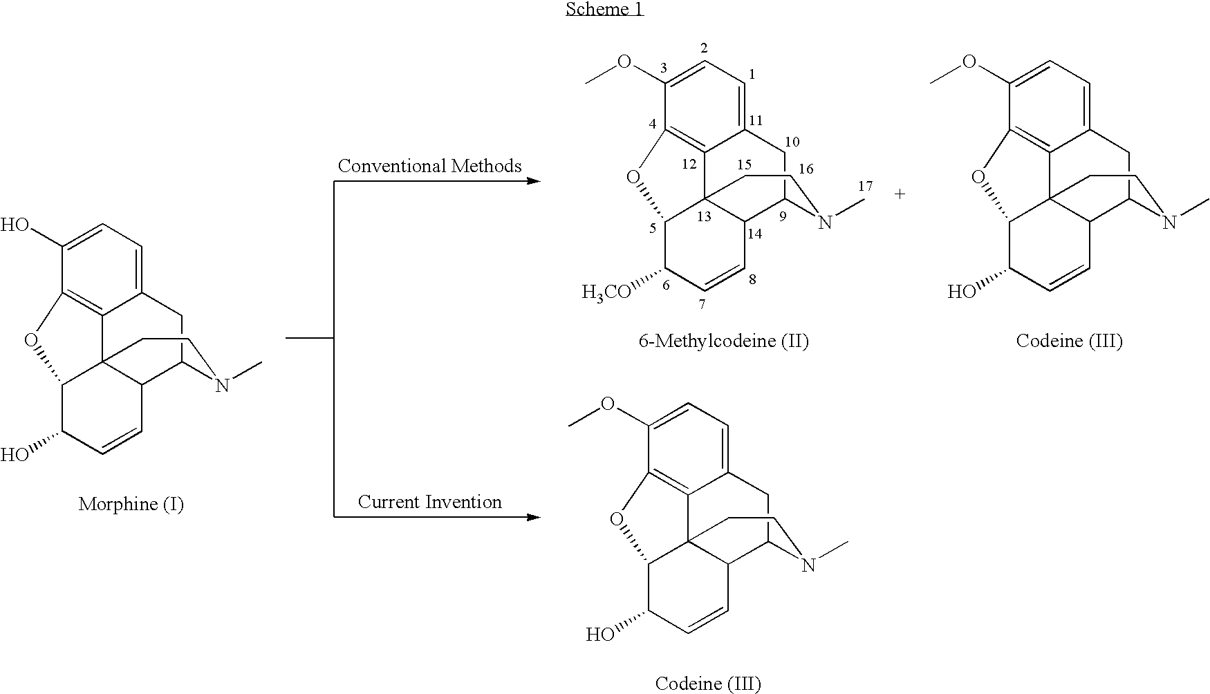 Process for the production of opiates