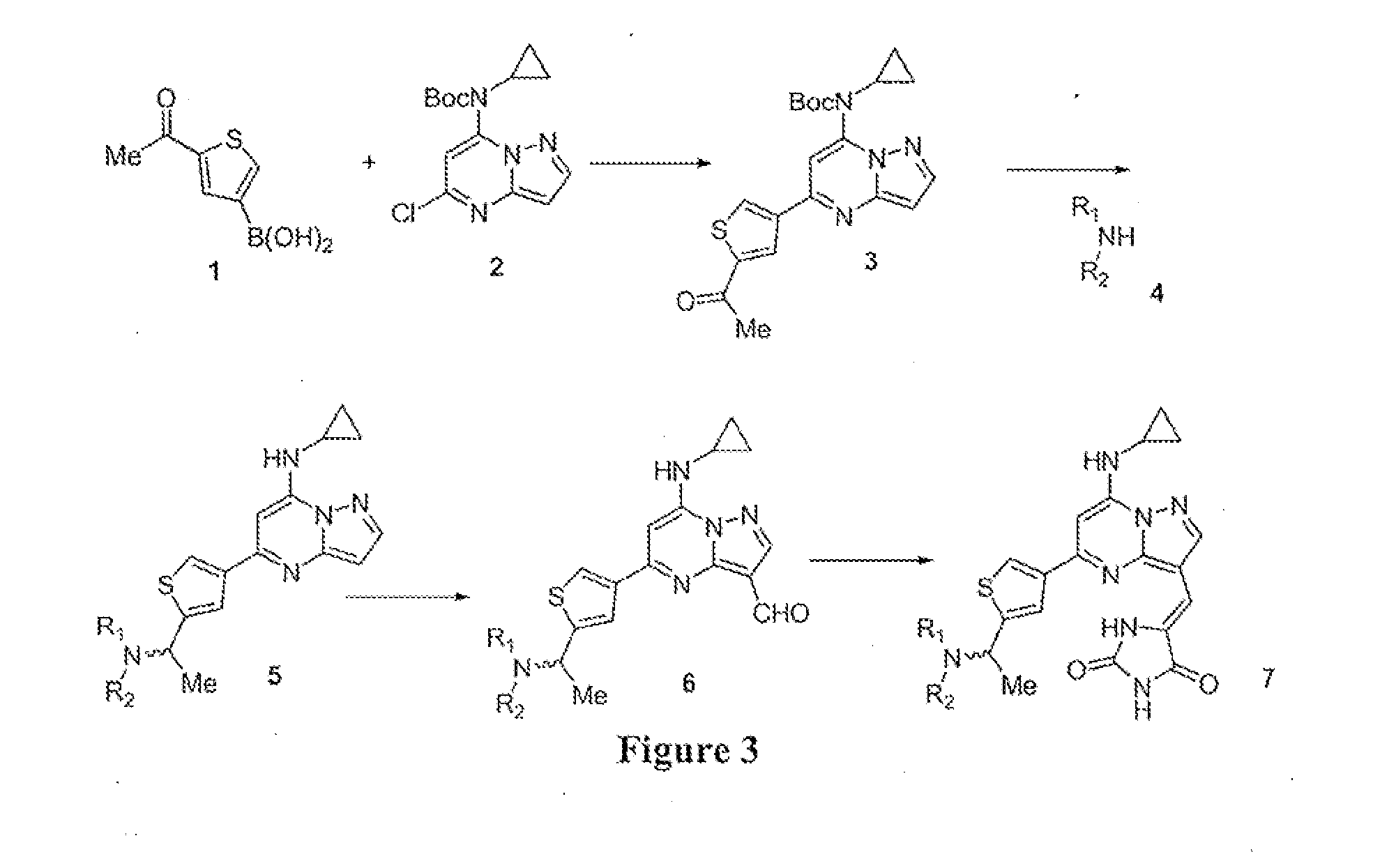 Pyrazolopyrimidines and related heterocycles as ck2 inhibitors