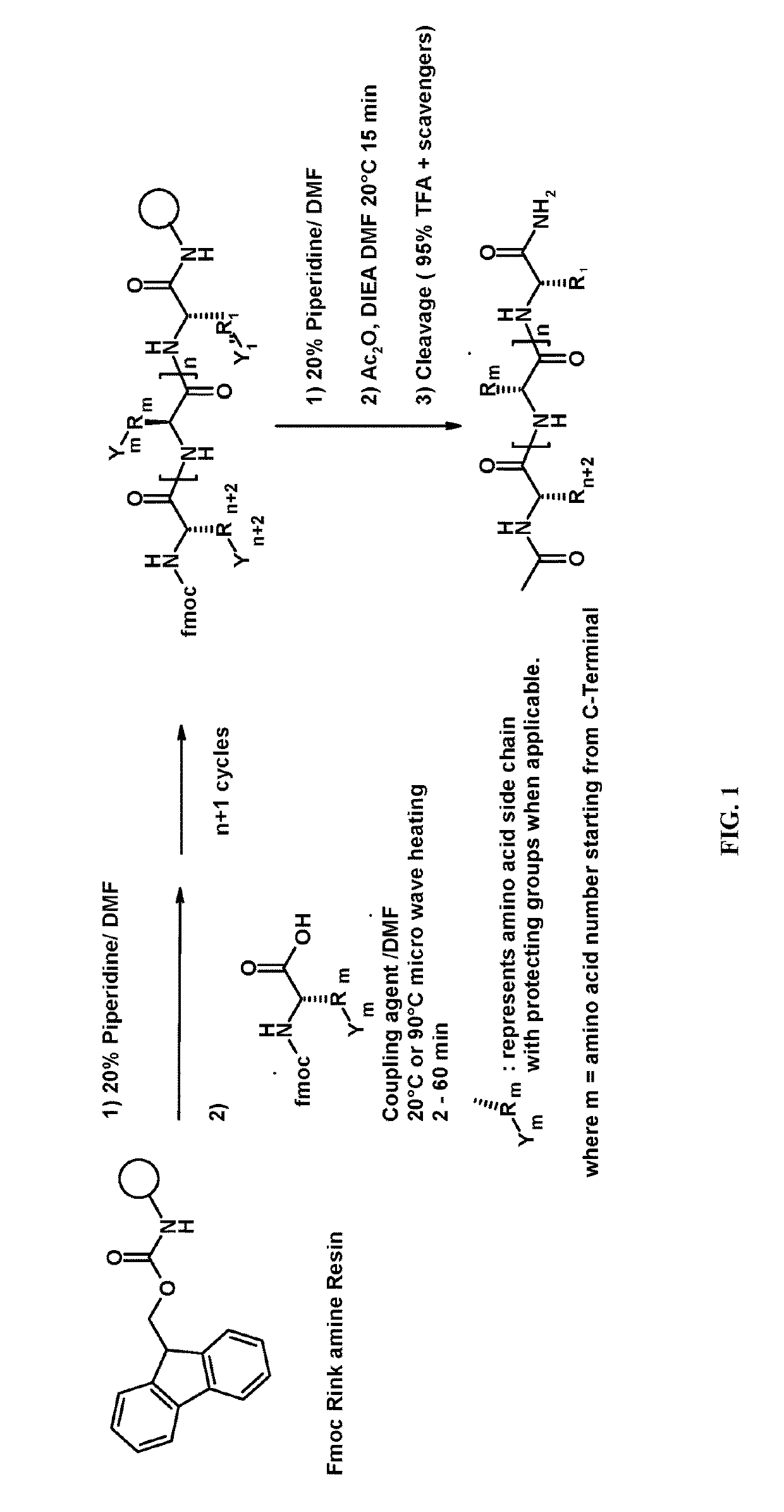 Modified relaxin b chain peptides and their therapeutic use