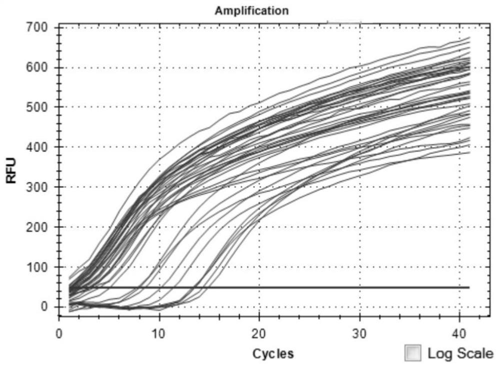 Nested fluorescent quantitative PCR (Polymerase Chain Reaction) detection method for Lyme disease spirochetes
