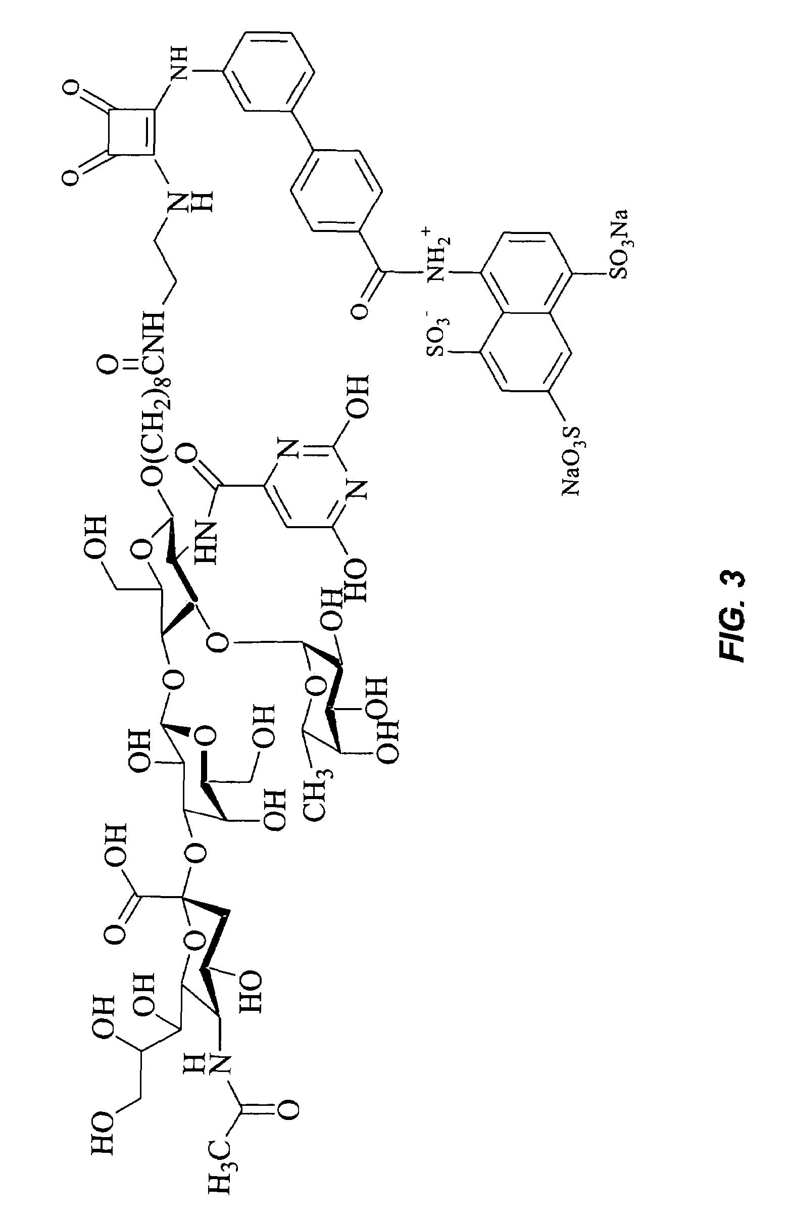 Specific antagonist for both E- and P-selectins