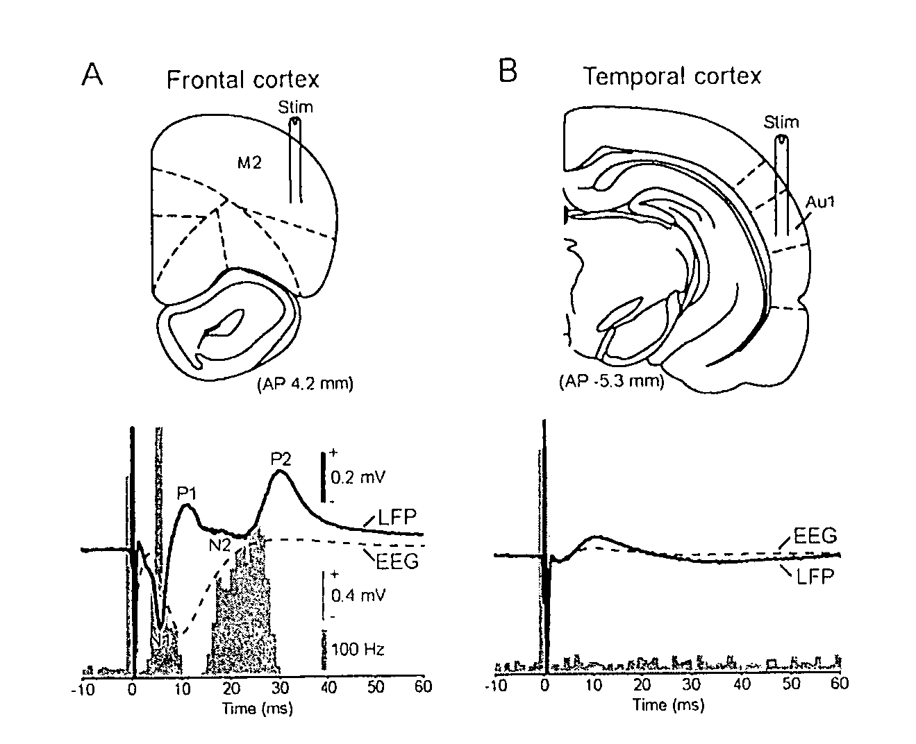 Methods of neural centre location and electrode placement in the central nervous system