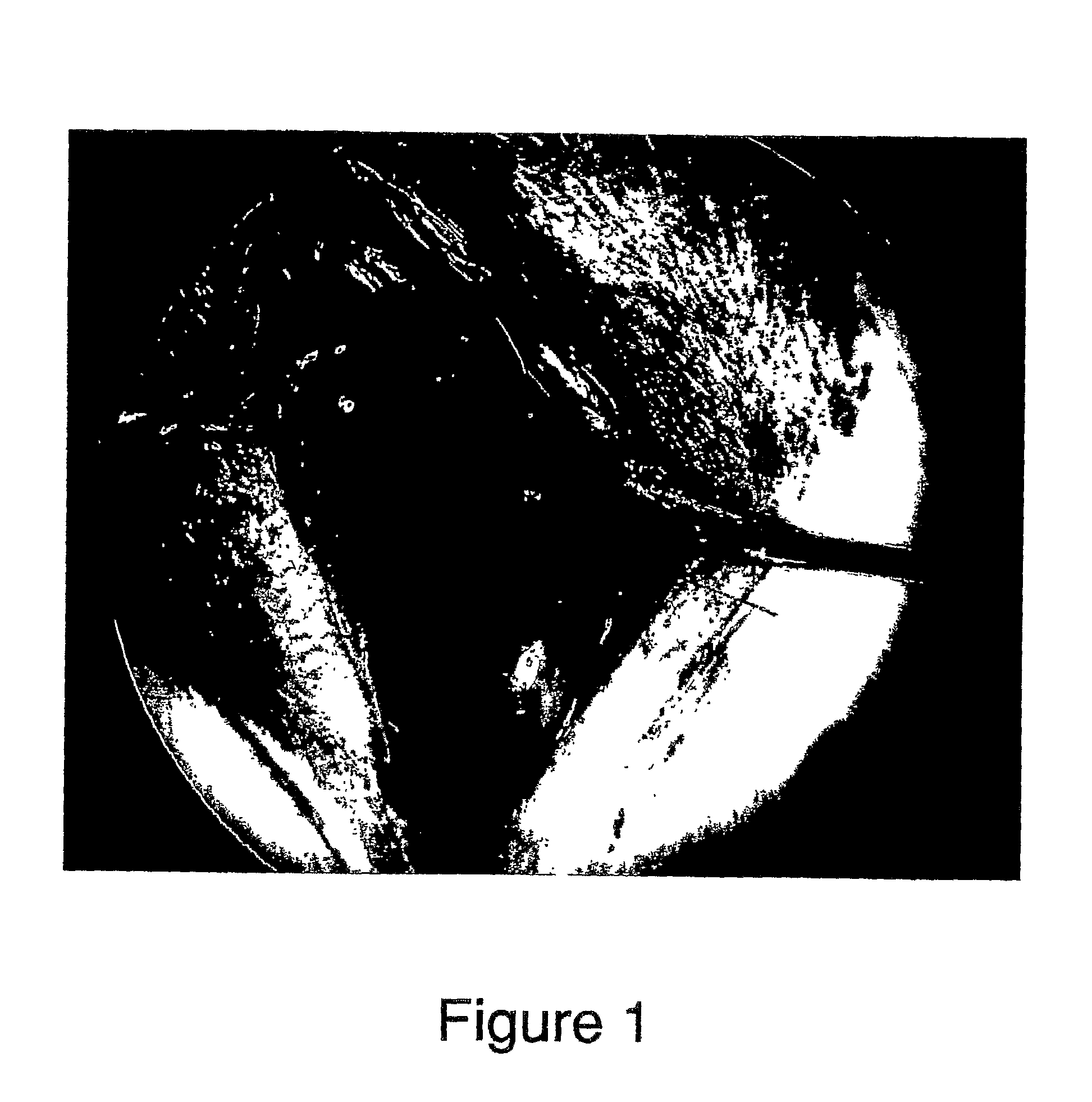 Methods for Intraoperative Organotypic Nerve Mapping