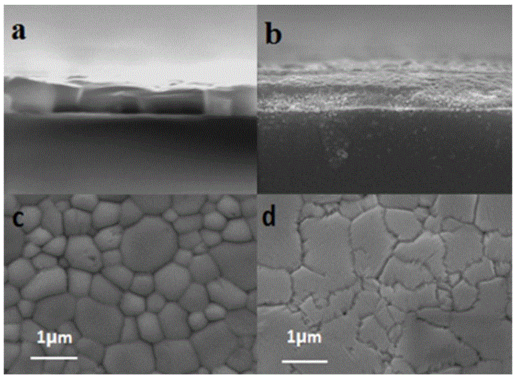 Tin-doped CH3NH3SnxPb1-xI3 perovskite solar cell