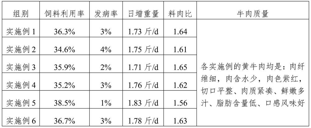 An ecological fattening method for high-quality beef cattle