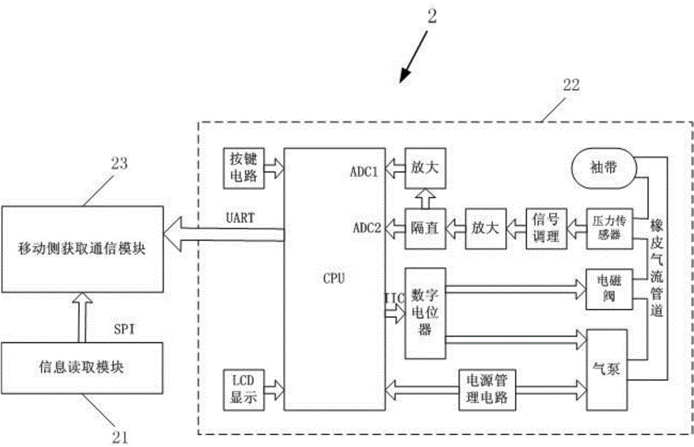 Blood pressure and pulse detection system