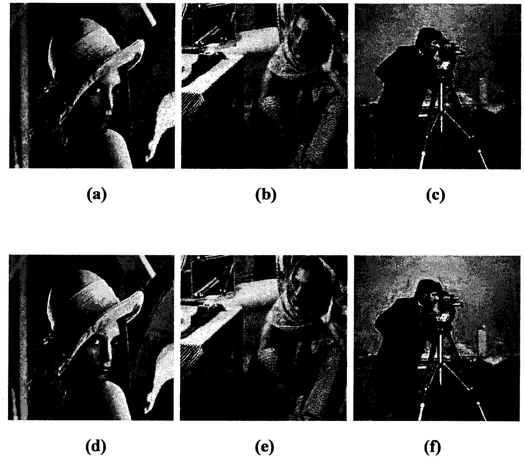 Image denoising method based on Treelet switch and Gaussian scale mixture model