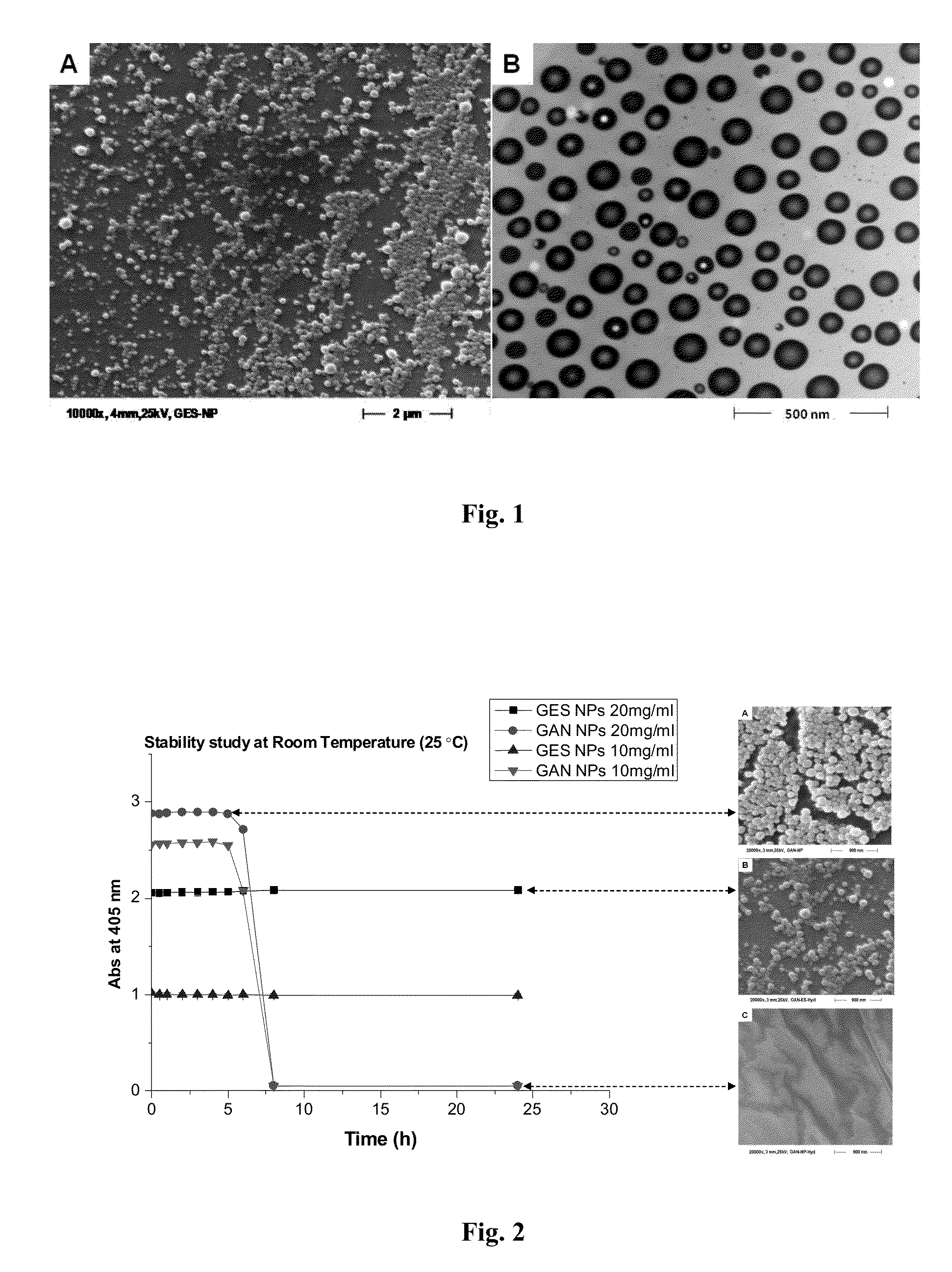 Nanoparticles comprising esters of poly (methyl vinyl ether-co-maleic anhydride) and uses thereof
