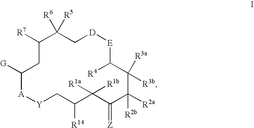 6-Alkenyl -, 6-alkinyl- and 6-epoxy-epothilone derivatives, process for their production, and their use in pharmaceutical preparations