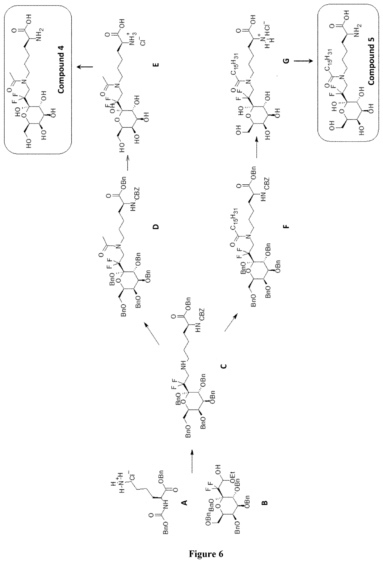 Glycopeptides Increasing Lipid Synthesis