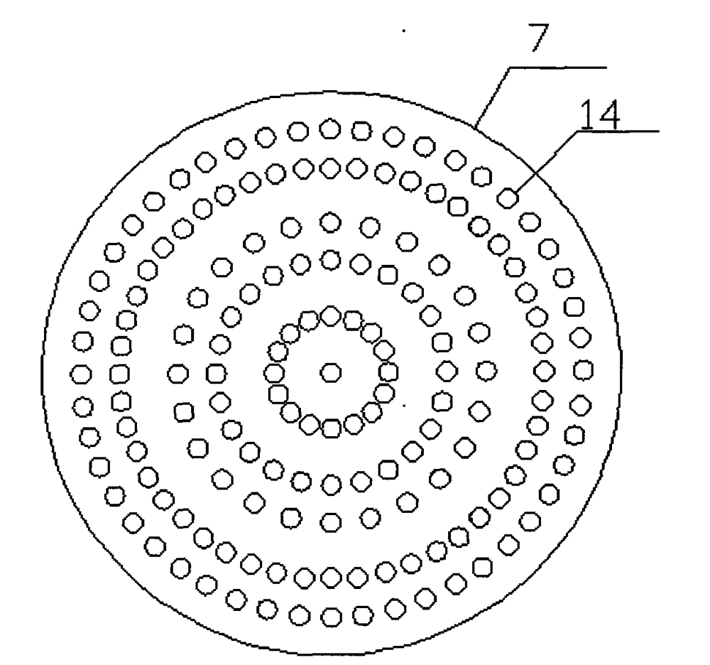 Soil anammox bacterium gathering system simulating natural environment