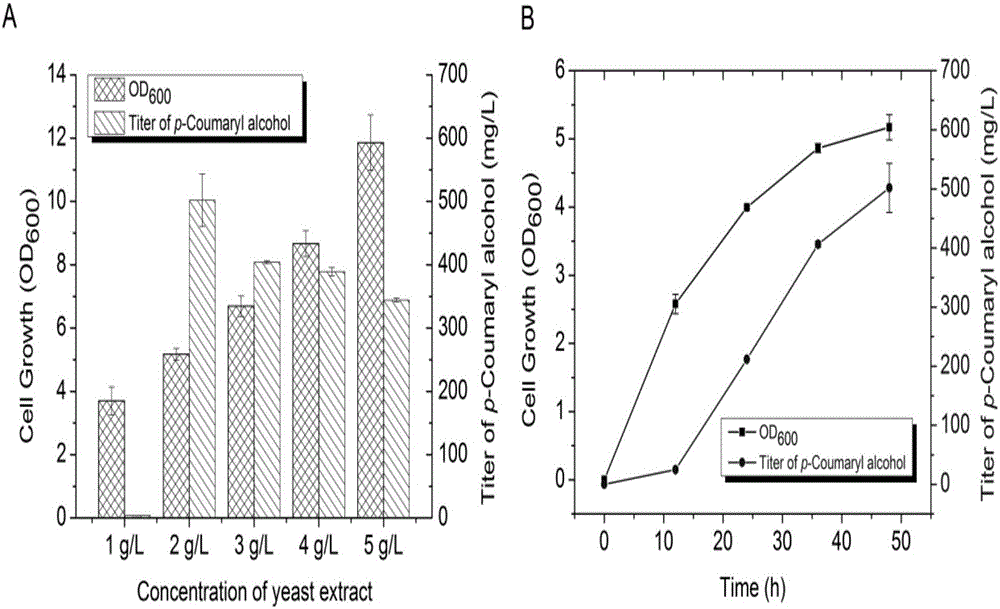 Method for heterologous biosynthesis of tonquinol, caffeol and ferulenol