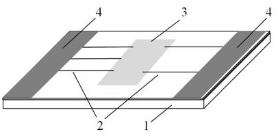 Carbon nanotube/graphene van der Waals heterojunction photoelectric device, its construction method and application