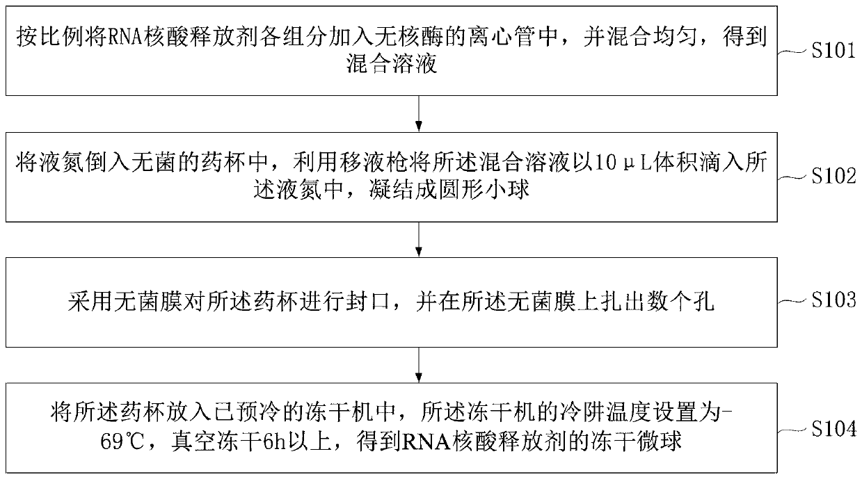 Preparation method of RNA nucleic acid releasing agent and PCR amplification reagent freeze-dried microspheres and application