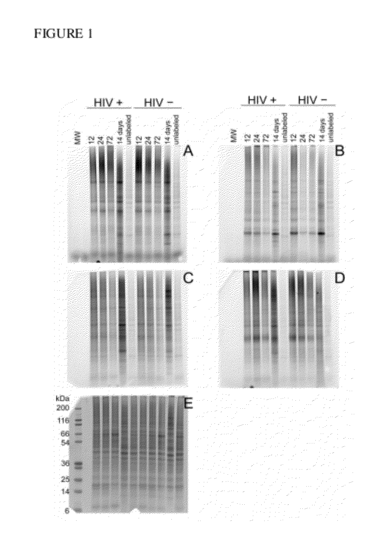 Anti-Viral Azide Containing Compounds